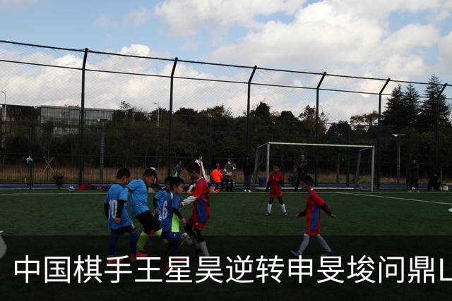 中国棋手王星昊逆转申旻埈问鼎LG杯