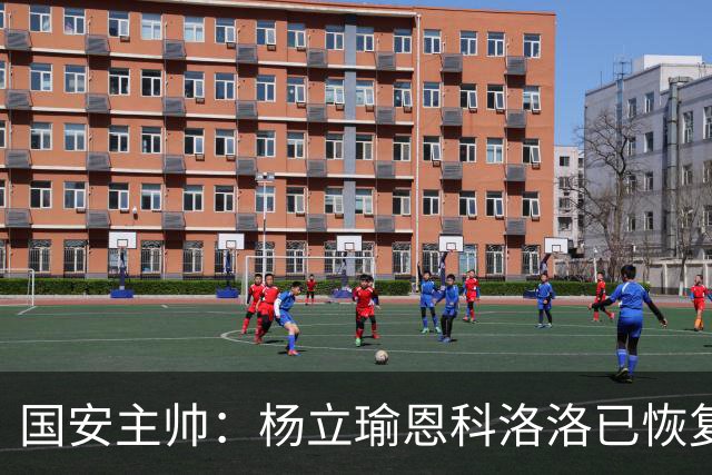 国安主帅：杨立瑜恩科洛洛已恢复 球队有很多要提升的地方