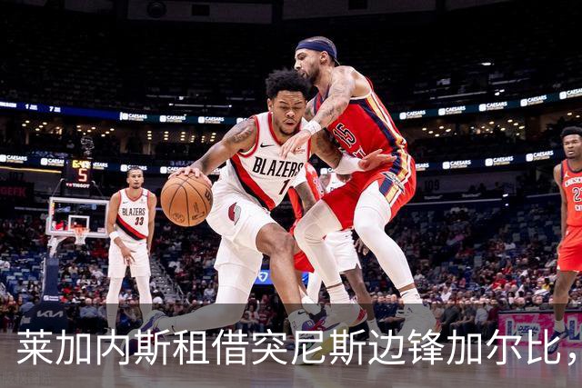 莱加内斯租借突尼斯边锋加尔比，含买断条款