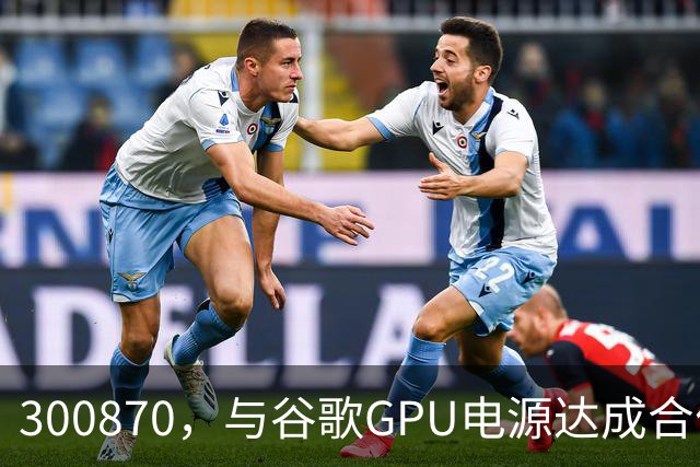 300870，与谷歌GPU电源达成合作，股价创历史新高